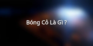 Bóng Cỏ Là Gì ?